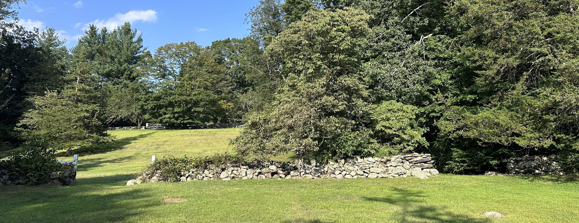 Weston/Wilton Forest Reserve Hike